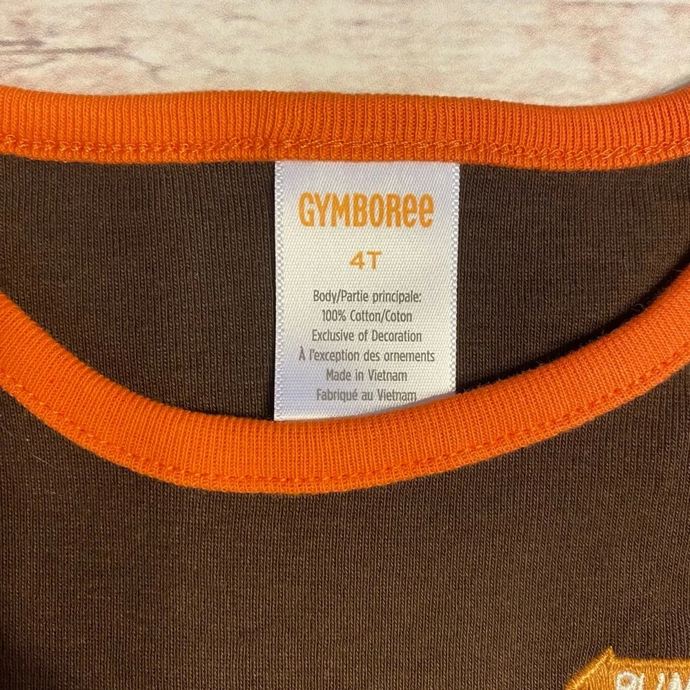 📌🆕 Gymboree • Embroidered Fall 🍂• Top